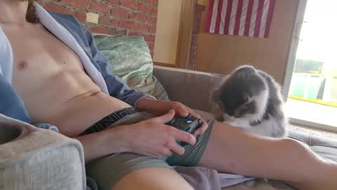 dommepleasemistress online show from February 21, 7:26 pm