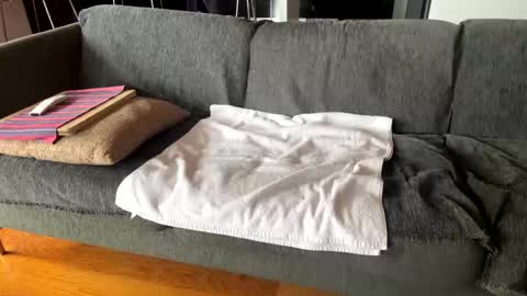 Alfredo online show from October 7, 10:12 am