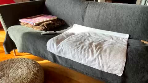 Alfredo online show from December 3, 11:19 am