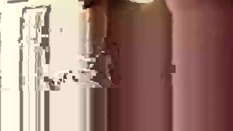 Snapshot of donnie206 chatting on January 6, 6:17 am donnie206 online show from January 6, 6:17 am