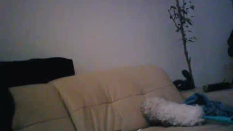 Snapshot of donosus chatting on January 18, 1:31 am donosus online show from January 18, 1:31 am