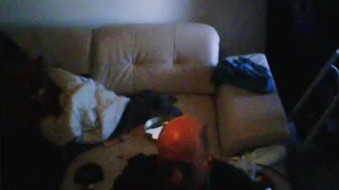 Snapshot of donosus chatting on February 28, 10:05 am donosus online show from February 28, 10:05 am