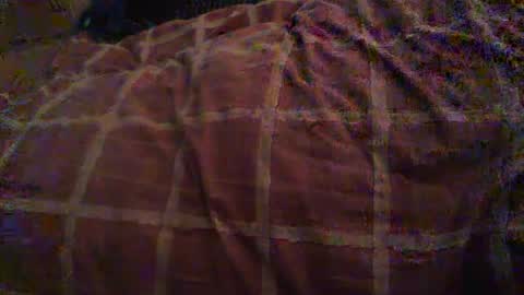 Hello  welcome to Slutsville  I am the Naked Chef  really  but you may call me Peter online show from October 26, 10:54 am