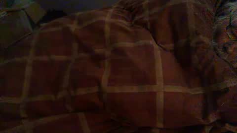 Hello  welcome to Slutsville  I am the Naked Chef  really  but you may call me Peter online show from February 12, 8:53 am