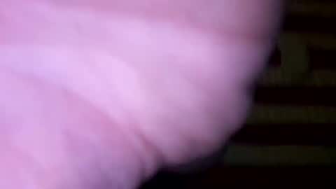 dougiebisme online show from May 31, 1:29 pm