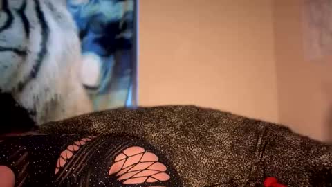 dove_love22 online show from January 9, 10:22 pm