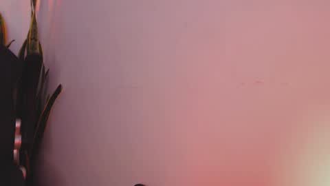 Snapshot of drake_cole11 chatting on February 4, 3:22 am drake_cole11 online show from February 4, 3:22 am