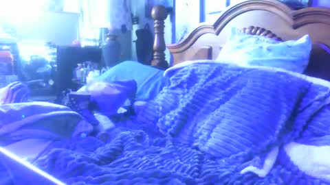 dreaded_folks online show from December 16, 4:12 pm