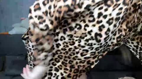 dreamesoul online show from November 7, 11:32 am