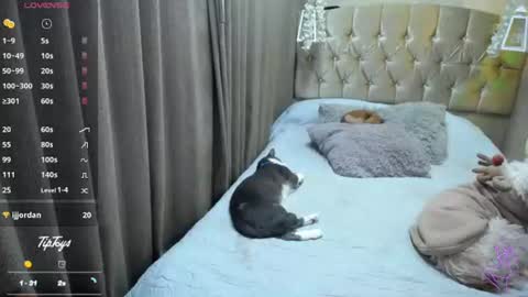 Sophia online show from July 10, 11:40 pm