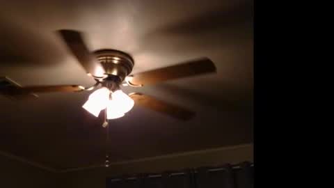 WetFilipinaPussy online show from November 9, 11:58 pm