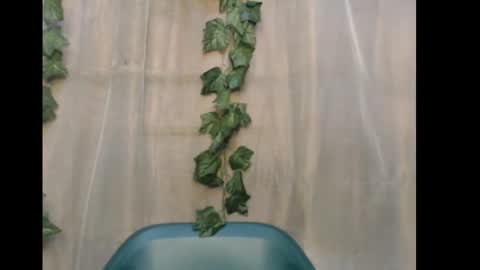 Snapshot of dripqueenx chatting on December 15, 10:52 am linda online show from December 15, 10:52 am