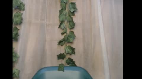 Snapshot of dripqueenx chatting on January 10, 5:37 pm linda online show from January 10, 5:37 pm