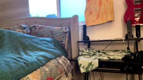 Snapshot of driving_perfectly chatting on March 4, 1:55 am driving_perfectly online show from March 4, 1:55 am