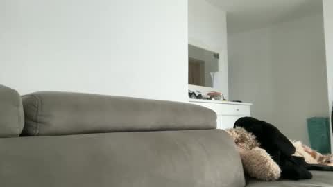 Snapshot of drresa chatting on October 18, 9:54 am Dr. Resa online show from October 18, 9:54 am