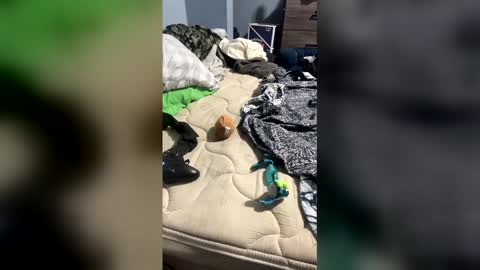 sissyginger online show from April 3, 1:14 am