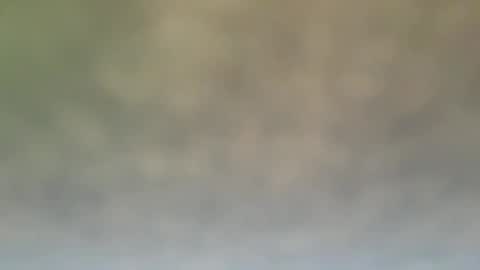 StraightStroker online show from December 21, 6:55 pm