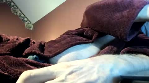 Snapshot of dug38 chatting on November 16, 3:01 am Doug online show from November 16, 3:01 am