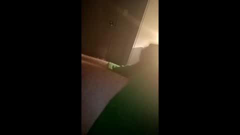 Snapshot of dugganmathew39 chatting on January 11, 4:28 am dugganmathew39 online show from January 11, 4:28 am