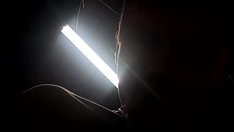 dukester36 online show from April 24, 11:01 am