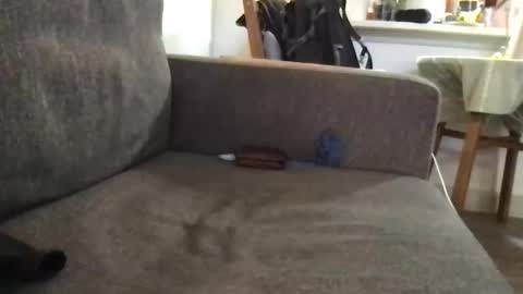 dulcemelo online show from March 17, 5:05 pm