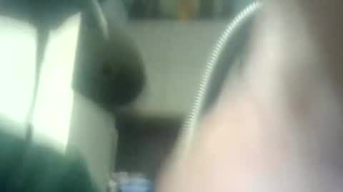 dutchboym online show from April 9, 5:51 am