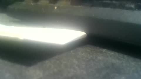 dutchboym online show from April 9, 6:19 am