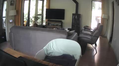 dutchsmooth online show from September 10, 9:42 am