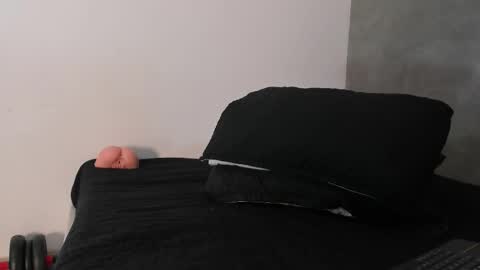 Dylan online show from December 18, 11:38 am