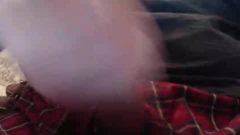 eat_a_peach2 online show from March 4, 11:38 am