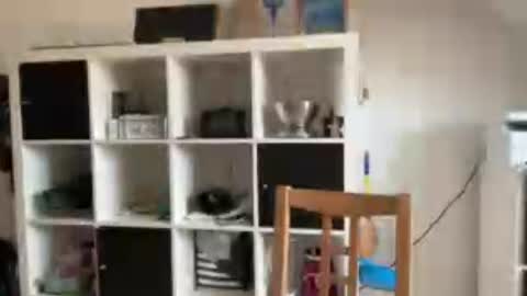eddelmar online show from July 31, 9:41 am