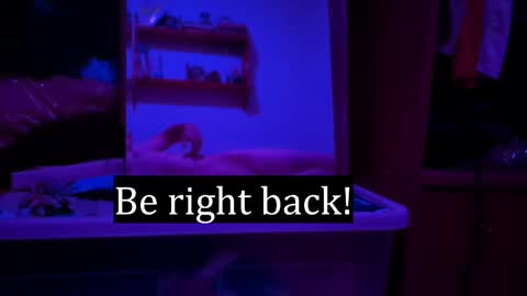 Snapshot of edwarh_01 chatting on February 7, 12:25 am Alex online show from February 7, 12:25 am