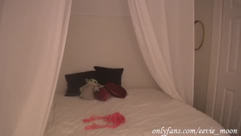 eevie online show from January 15, 7:05 am