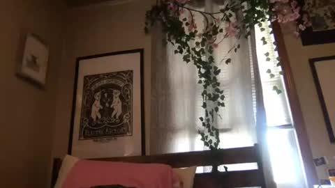Snapshot of eggnog_and_booty chatting on July 9, 8:13 pm eggnog_and_booty online show from July 9, 8:13 pm
