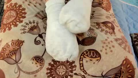 Snapshot of eilin_clio chatting on July 6, 1:08 pm Eilin online show from July 6, 1:08 pm