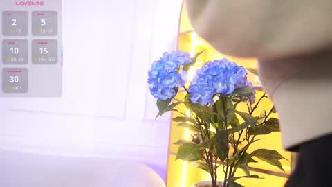 Elasummeer online show from November 19, 11:43 am