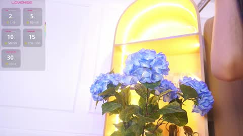 Elasummeer online show from November 29, 11:57 am