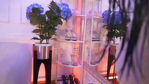 Elasummeer online show from February 12, 12:00 pm