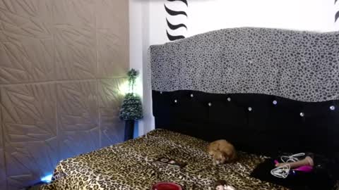 Snapshot of elektra_petite chatting on December 31, 4:16 am ELEKTRA hii my birthday is tomorrow but I will celebrate it on Sunday Ill wait for you online show from December 31, 4:16 am