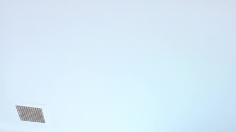 Snapshot of elektradoll1 chatting on June 5, 12:44 pm elektradoll1 online show from June 5, 12:44 pm