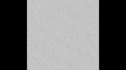 elephant_titus online show from January 20, 11:02 am