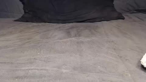 elgsslt online show from April 4, 9:51 am