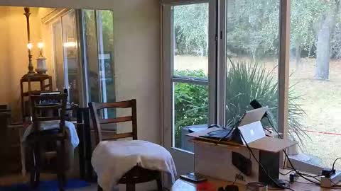 eliberator online show from January 7, 6:43 pm