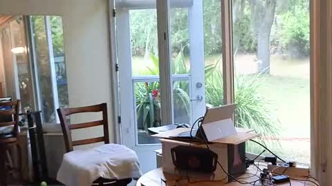 eliberator online show from May 3, 5:41 pm