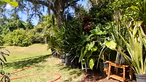eliberator online show from May 16, 7:23 pm