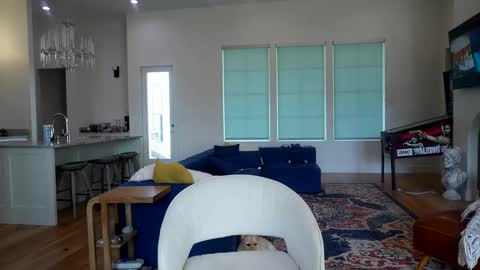 Liz online show from November 13, 7:46 pm