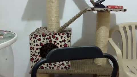 Snapshot of elizabeth_martinez_ chatting on September 16, 2:51 pm Elizabeth Martinez online show from September 16, 2:51 pm
