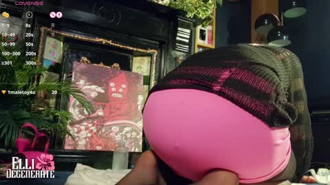 Snapshot of elli_degenerate chatting on January 24, 12:52 am Elli Degenerate online show from January 24, 12:52 am