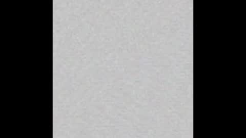 Ellie online show from November 2, 9:11 am