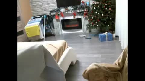 EliMoL online show from February 7, 6:56 pm